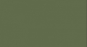 Керамогранит G-116/PR Зеленый 60*120