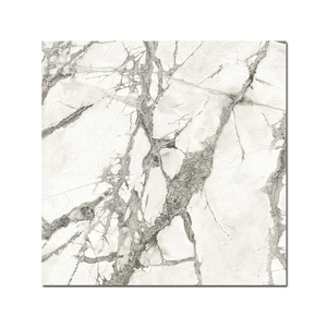Керамогранит Caesar Anima Ever Magnificent White 80x80 Matt Rt