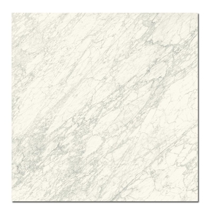 Керамогранит Caesar Anima Ever Supreme White 120x120 Luc Rt