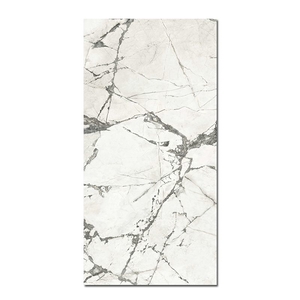 Керамогранит Caesar Anima Ever Magnificent White 60x120 Matt Rt