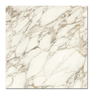 Керамогранит Caesar Anima Ever Luxury Arabesque 120x120 Matt Rt