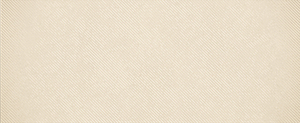 Декор Chiron B beige 01 25х60