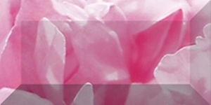 Плитка Бордюр рельефный Peony br1020D281-1 20х10