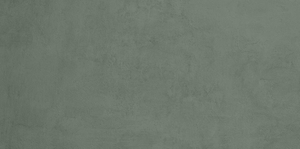 Плитка Payne green 30х60
