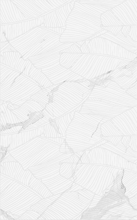 Плитка Lace белый 25х40